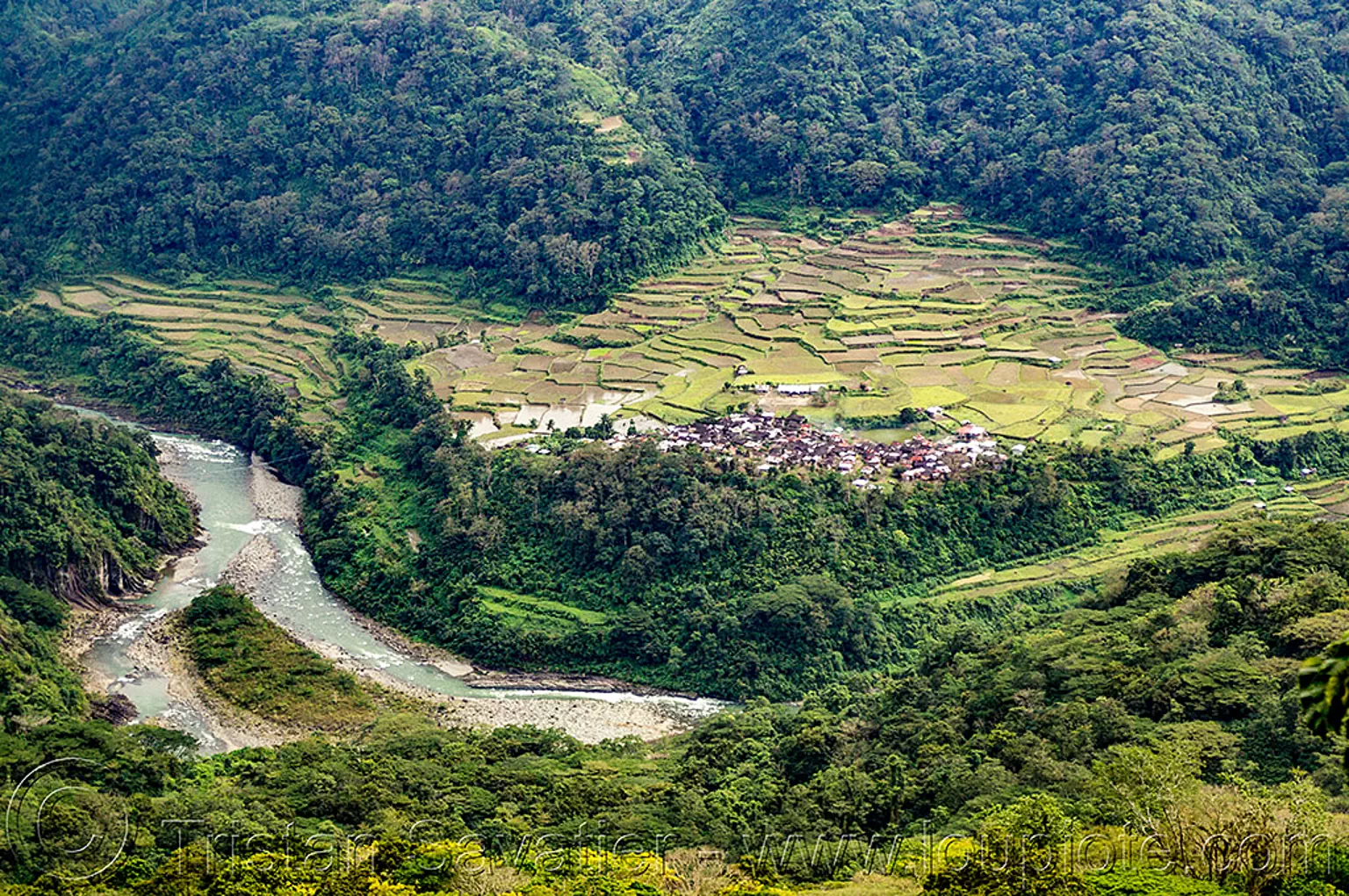 village and terraced fields in chico valley (philippines), agriculture, chico river, chico valley, cordillera, jungle, philippines, rice paddies, rice paddy fields, river bend, terrace farming, terraced fields, village