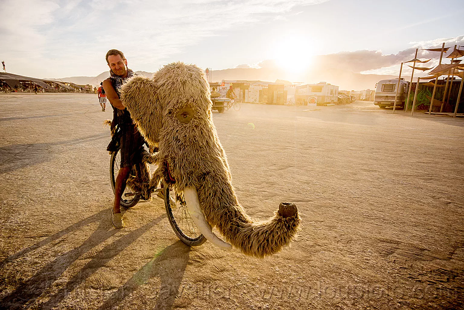 woolly mammoth bicycle - burning man 2015, bicycle, bike, burning man, fur, furry, head, mammoth, riding, trunk, tusk