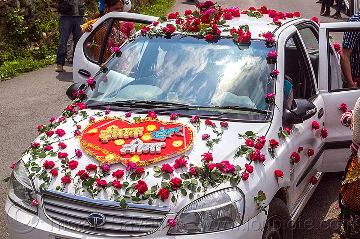 Indica shop car decoration