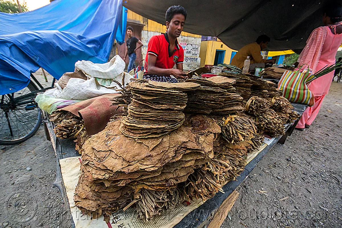 Dried Tobacco Leaves on Stall at Street Market (India)