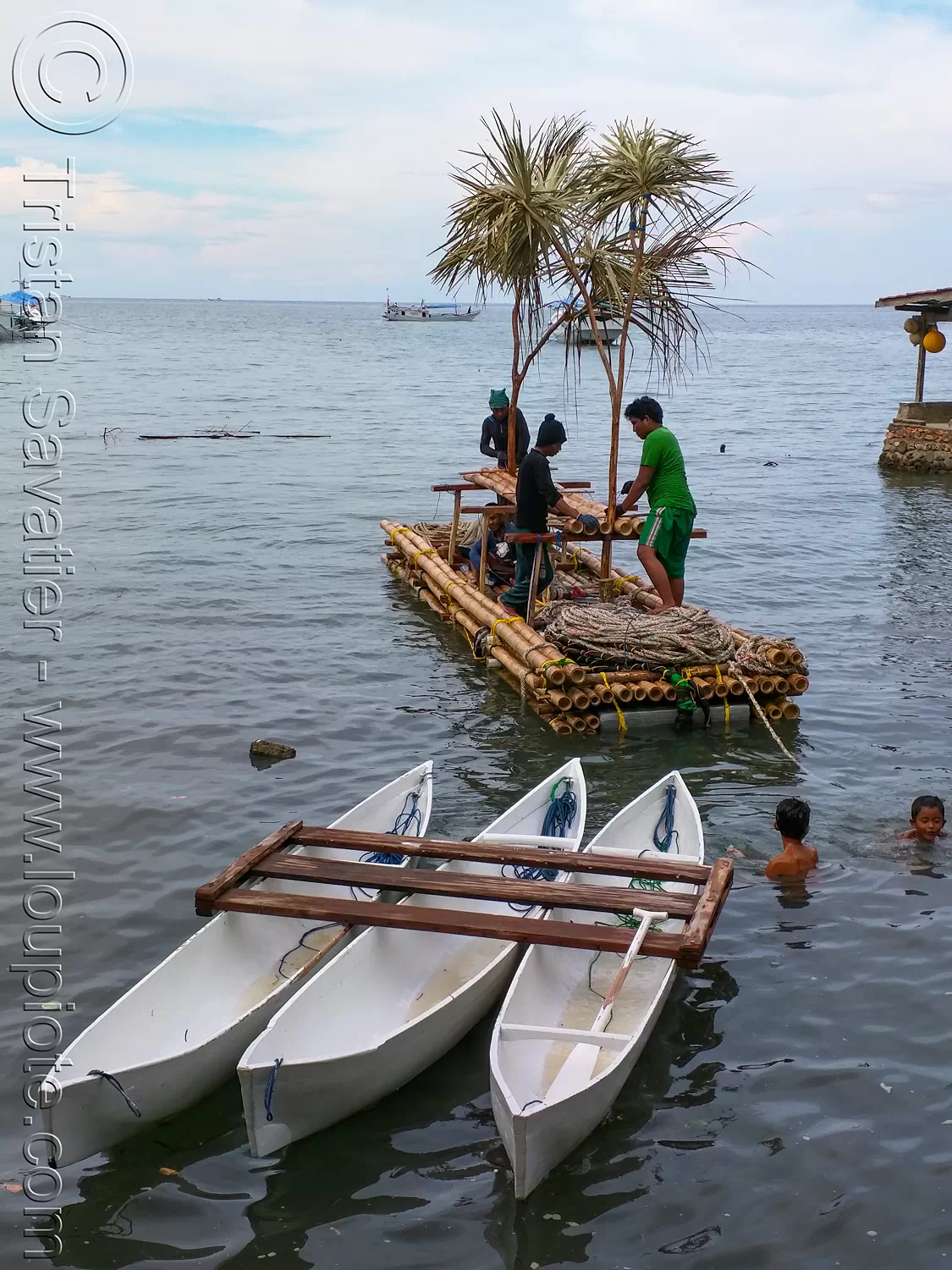 Fish Aggregating Device - Bamboo Floating Raft with Fake Trees to Attract  Fish