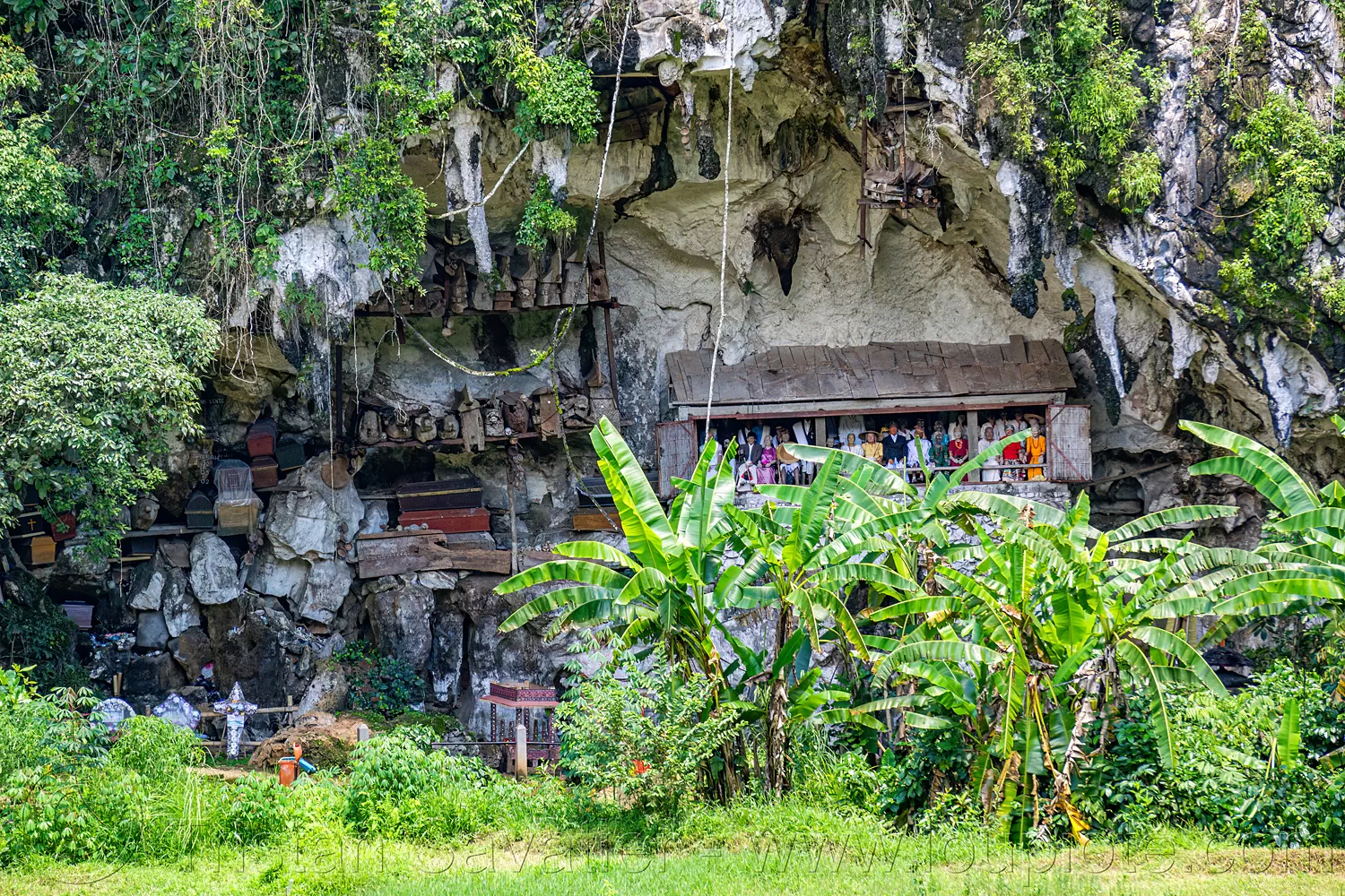 Londa - Toraja Cave Burial Site