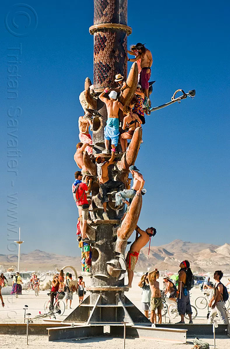 https://www.loupiote.com/photos_lw/rush-hour-at-burning-man-5061585698.webp