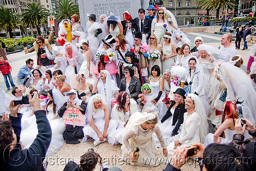 all the brides - brides of march (san francisco), bride, brides of march, wedding dress, white