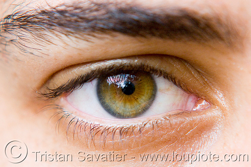 amalia's hazel eye, amalia, beautiful eyes, closeup, eye color, hazel, iris, spots, woman