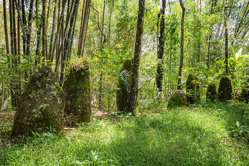 ancient toraja megalith memorial stones (menhirs), megaliths, memorial stones, menhirs, moss, mossy, simbuang batu, tana toraja