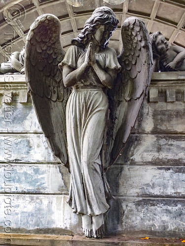 angel statue - jogjakarta christian cemetery, angel, grave, graveyard, jogjakarta christian cemetery, statue, tomb, tpu utaralaya