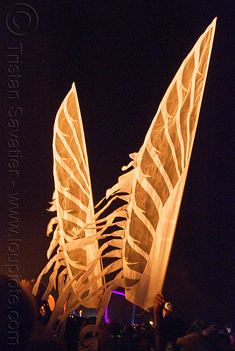 angel wings at night, angel wings, burning man at night