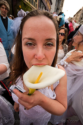 asha with a white calla lily flower - brides of march (san francisco), alismatales, araceae, arum lily, asha, bride, brides of march, cala lily, calla lily, flower, liliopsida, wedding, zantedeschia aethiopica