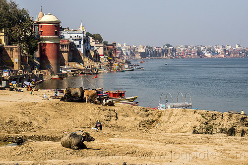 assi ghat - varanasi and the ganges river (india), assi ghat, ganga, ganges river, ghats, river bank, varanasi