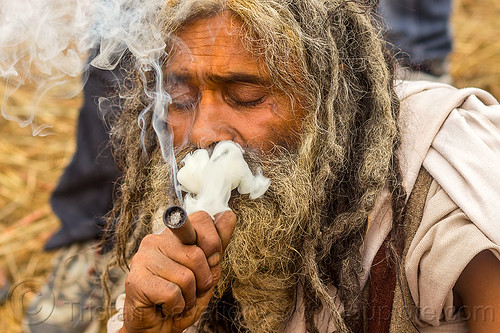 baba smoking a chillum of weed - clay pipe (india), baba smoking chillum, beard, dreadlocks, ganja, hindu pilgrimage, hinduism, kumbh mela, man, sadhu, smoking pipe, smoking weed, thick smoke