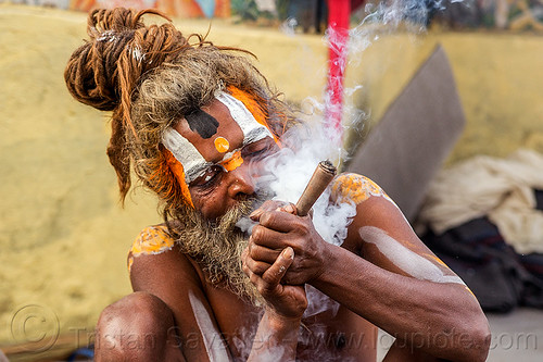 baba smoking chillum of weed - shivaratri (nepal), baba smoking chillum, beard, chillum pipe, dreadlocks, ganja, hindu man, hinduism, kathmandu, knotted hair, maha shivaratri, pashupatinath, sadhu, smoking pipe, smoking weed, thick smoke, tilak, tilaka