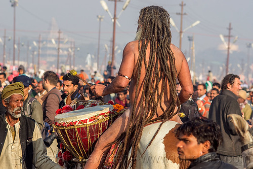 baba with long dreadlocks playing ritual drum on horse at kumbh mela (india), ceremony, crowd, dreadlocks, drums, hindu pilgrimage, hinduism, horse, horseback riding, kumbh maha snan, kumbh mela, mauni amavasya, men, naga babas, naga sadhus