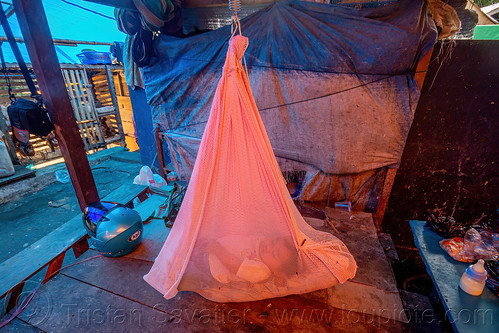 baby sleeping in hanging mosquito net, baby, child, tana toraja