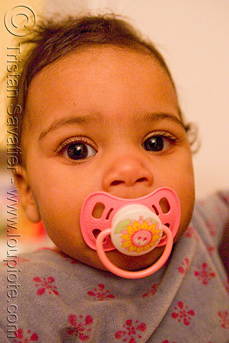 baby with pacifier - mia, baby, child, girl, kid, mia, pacifier, toddler