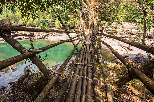 bamboo bridge - east khasi hills (india), bamboo bridge, east khasi hills, footbridge, jungle, mawlynnong, meghalaya, rain forest, river