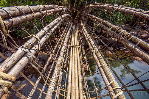 bamboo bridge - east khasi hills (india), bamboo bridge, east khasi hills, footbridge, jungle, mawlynnong, meghalaya, rain forest, river