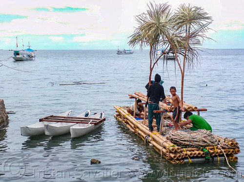 bamboo floating island with fake trees to attract fish, bamboo raft, cannoes, fisherman, fishermen, fishing, floating island, men, ocean, sea