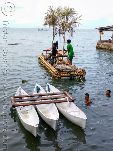 bamboo floating island with fake trees to attract fish, bamboo raft, canoes, fisherman, fishermen, fishing, floating island, men, ocean, sea