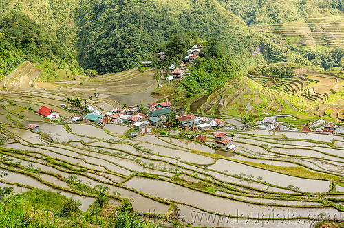 batad village - rice terraces near banaue (philippines), agriculture, banaue, batad, flooded rice field, flooded rice paddy, landscape, rice fields, rice paddies, rice paddy fields, terrace farming, terraced fields, valley, village