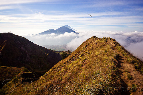 batur volcano rim trail, agung volcano, bali, batur volcano, bird, flying, gunung abang, gunung agung, gunung batur, landscape, lombok, mount abang, mount agung, mount batur, trail, volcano volcanos sky clouds rim, volcanoes