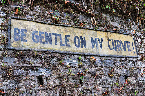 be gentle on my curve - road sign (india), border roads organisation, bro road signs, road sign, sikkim