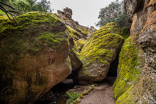 bear gulch cave trail - pinnacles national park (california), boulders, gulch, hiking, landscape, moss, pinnacles national park, talus cave, trail