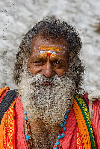 bearded sadhu (hindu holy man) with tilak - amarnath yatra (pilgrimage) - kashmir, amarnath yatra, baba, hindu holy man, hindu man, hindu pilgrimage, hinduism, kashmir, old man, pilgrim, sadhu, tilak, tilaka, white beard