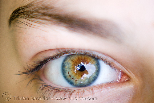 beautiful eye - iris freckles, close up, eye color, eye freckles, eyelashes, hazel, iris freckles, speckled iris, spots, woman