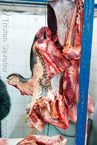 beef head (deboned), beef, bolivia, cow head, meat market, meat shop, raw meat, uyuni