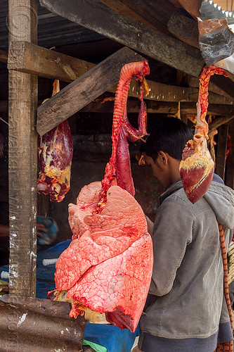 beef lungs and heart hanging at meat market (india), beef heart, beef lungs, east khasi hills, india, meat market, meat shop, meghalaya, pynursla, raw meat