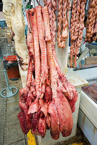 beef lungs and tracheas in meat shop (argentina), argentina, beef, bronchial tubes, butcher, hanging, lungs, meat market, meat shop, mercado central, noroeste argentino, raw meat, salta, tracheas