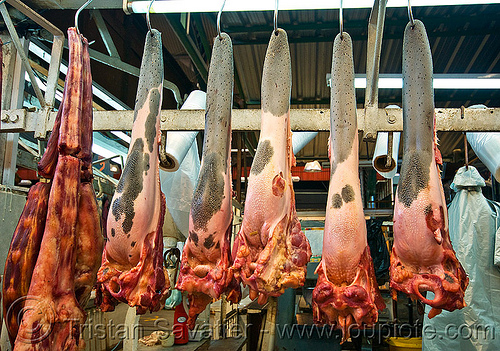 beef tongues hanging in meat shop (argentina), argentina, beef, butcher, hanging, meat market, meat shop, mercado central, noroeste argentino, raw meat, salta