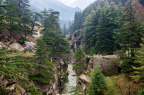 bhagirathi river in narrow gorge (india), bhagirathi river, bhagirathi valley, bridge, canyon, forest, gorge, india, mountains, river bed