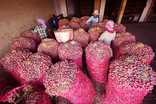 big bags of shallots in bulk market, allium cepa, bags, bulk market, foodstuff, produce market, shallots, vegetable, veggie, women, working