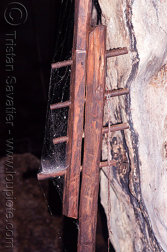 birds nest collectors climbing pole in cave - wood plugs, birds-nest, borneo, gua niah, malaysia, natural cave, niah caves, pole, wood plugs, wooden