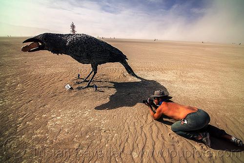 birdwatcher - giant crow - burning man 2016, art installation, birdwatcher, burning man, camera, giant bird, giant crow, giant raven, hat, peanut, photographer, sculpture