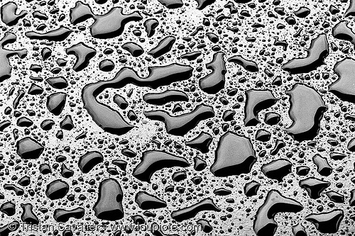 black water - pattern - texture, abstract, black water, droplets, drops, hydrophobic, patterns, rain, table, water repellent, wet