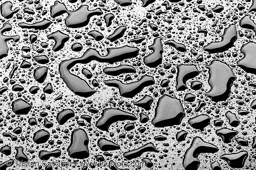 black water - pattern - texture, abstract, black water, droplets, drops, hydrophobic, patterns, rain, table, water repellent, wet