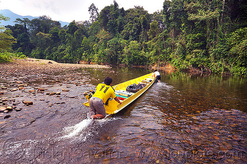 boatmen pushing boat up the shallow waters of the melinau river - mulu (borneo), boatman, boatmen, borneo, gunung mulu national park, jungle, malaysia, melinau river, men, rain forest, river bed, river boat, rocks, shallow river, small boat, sungai melinau, trees, wading