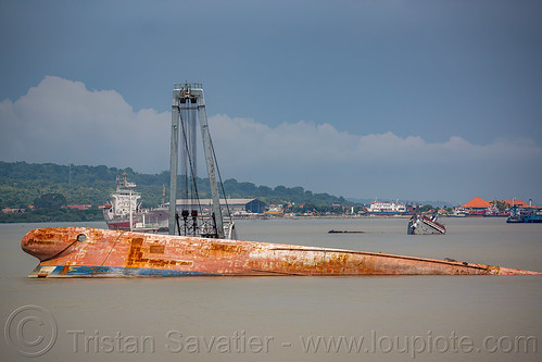 bow of overturned sunken ship - wihan sejahtera ro-ro ferryboat shipwreck - surabaya (indonesia), boat, cargo ship, ferry, ferryboat, madura strait, merchant ship, shipwreck, surabaya, wihan sejahtera