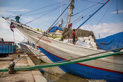 bows of docked bugis schooners - traditional wooden cargo boats, boats, bugis schooners, dock, harbor, man, pinisi, ships, surabaya