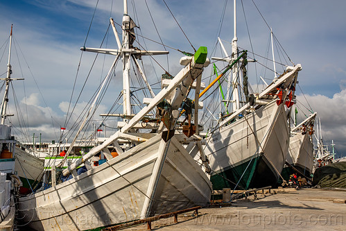 bows of traditional pinisi boats (bugis schooners) docked at the makassar harbor, boats, bugis schooners, dock, harbor, makassar, pinisi, ship bow, ships