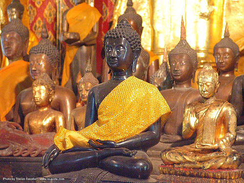 พระพุทธรูป - buddha statues in a wat - thailand, buddha image, buddha statue, buddhism, cross-legged, sculpture, พระพุทธรูป