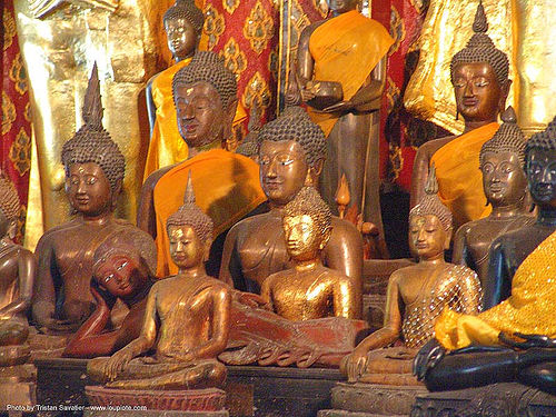 พระพุทธรูป - buddha statues in a wat - thailand, buddha image, buddha statue, buddhism, cross-legged, sculpture, thailand, พระพุทธรูป