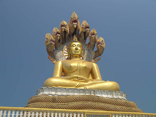 buddha with mucalinda the seven-headed cobra snake that protects him - thailand, buddha image, buddha statue, buddhism, cross-legged, golden color, mucalinda, naga snake, nāga dragon, nāga snake, sculpture, seven-head, seven-headed snake, พญานาค, พระพุทธรูป, พระพุทธรูปปางนาคปรก