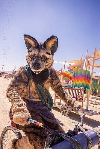 burning man - cosplay - guy wearing a coyote costume, animal costume, attire, bicycle, burning man outfit, cosplay, fur, furry, riding, vignette hyena