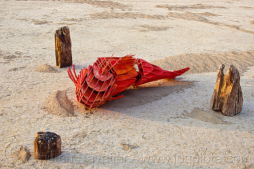 burning man - dead fish sculpture, art installation, bmcore2013, c.o.r.e., circle of regional effigies, core project, dead fish, sculpture