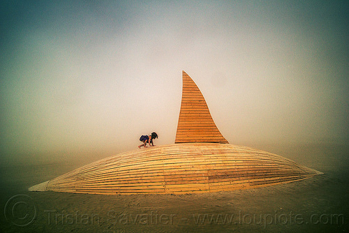 burning man - desert orca, art installation, child, kid, little girl, orca project, orcas, sculpture