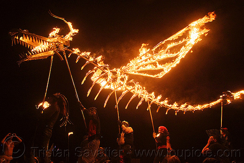 burning man - fire dragon, burning man at night, fire dragon, shiva vista